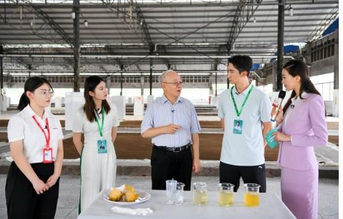 烏江輕鹽榨菜的領跑密碼 創新工藝 領先技術 健康理念 嚴苛標準